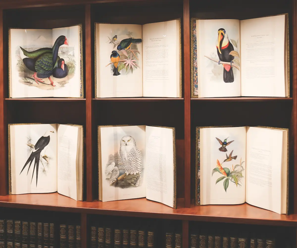 Peter Harrington, a London-based rare book dealer, opens its first U.S. gallery in New York City, coinciding with the New York International Antiquarian Book Fair.